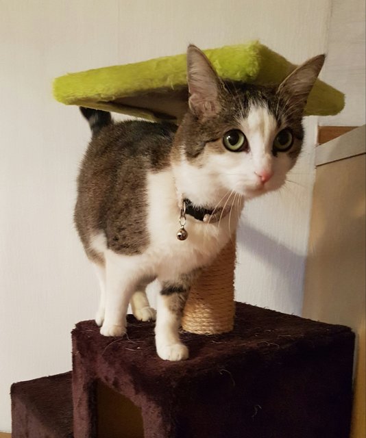 Ella unser Liebling