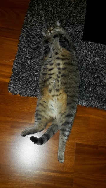 Lilli macht es sich gemütlich!