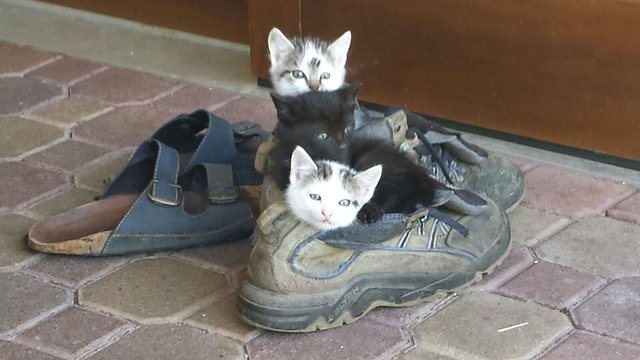 Hätte "e"neue Schuhe gebraucht.