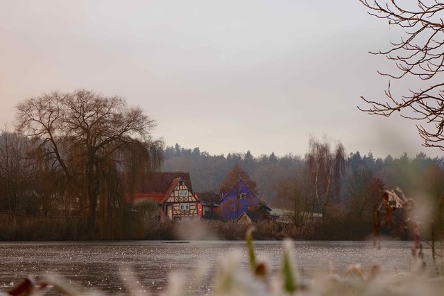 Einstiger Klosterweiher in Walldürn-Gottersdorf.