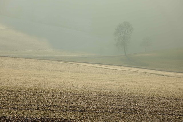 Bei Reichartshausen.