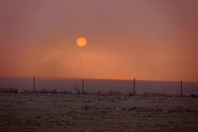 Abendsonne bei Wenschdorf.