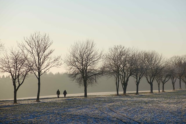 Bei Reichartshausen-Neudorf.
