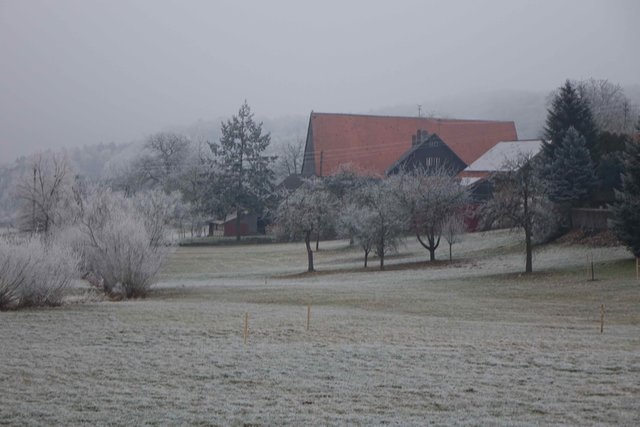 Schippach.
