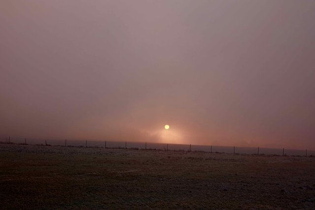 Abendsonne bei Wenschdorf.
