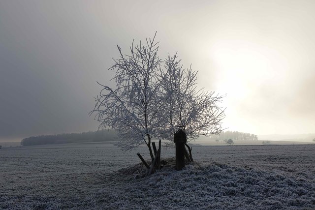 Ein altehrwürdiger Bildstock aus dem 18. Jahrhundert bei Miltenberg-Schippach trotzt Nebel, Wind und Kälte.