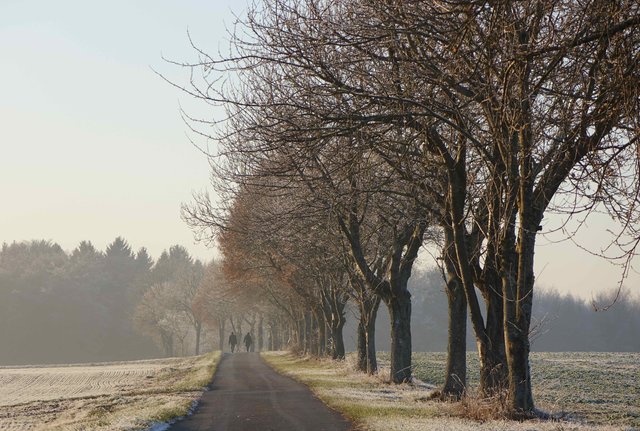 Unterwegs bei Neudorf.