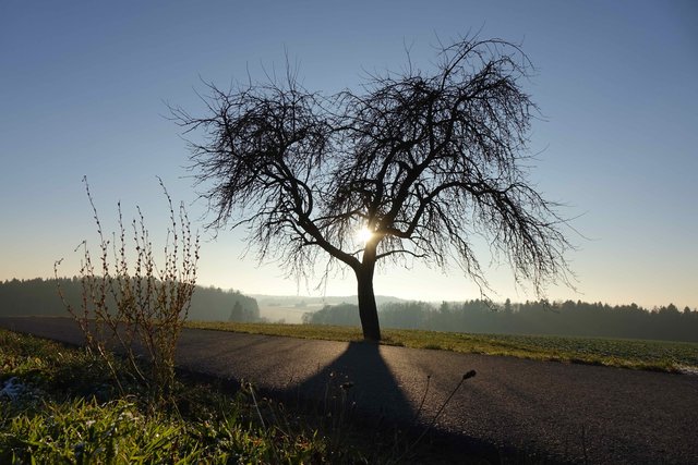 Zwischen Wenschdorf und Reichartshausen.