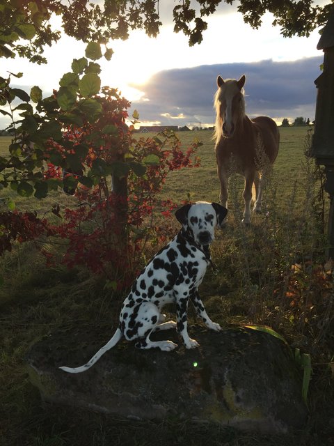 Herbstspaziergang :)