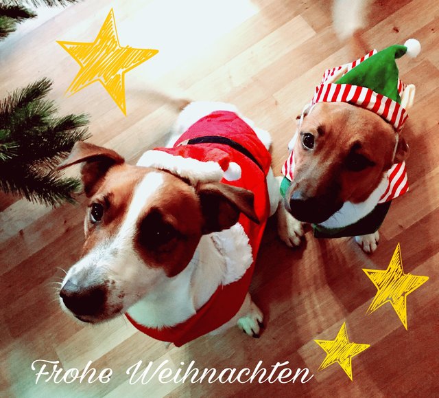 Weihnachtsmann Seppel und sein Wichtel Fritz