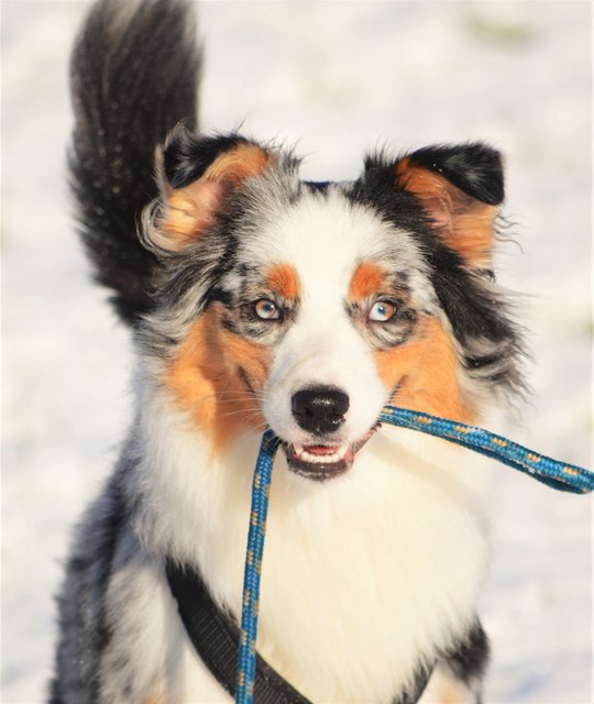 Schnee, Sonne, BALL. Was will man mehr?!