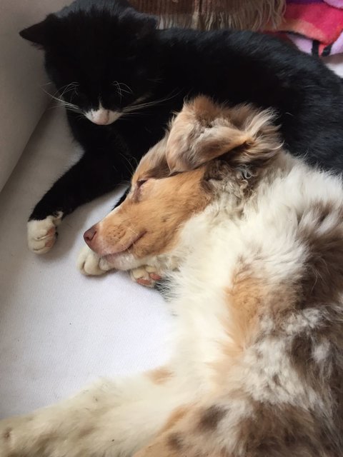 Ziemlich beste Freunde :)