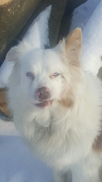 Sindys wie schaut man mal richtig doof Blick