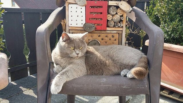 Balu auf Wachstation