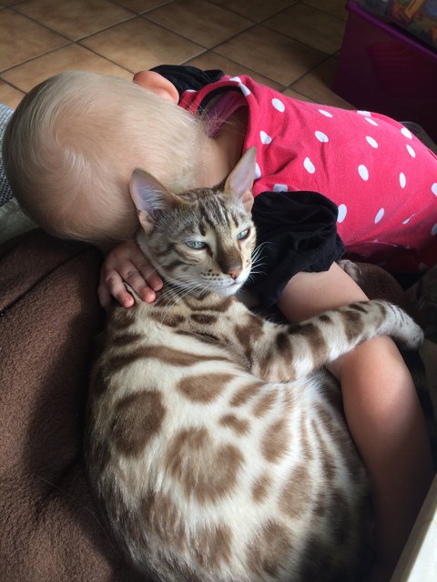 Die zwei kleinsten kuscheln