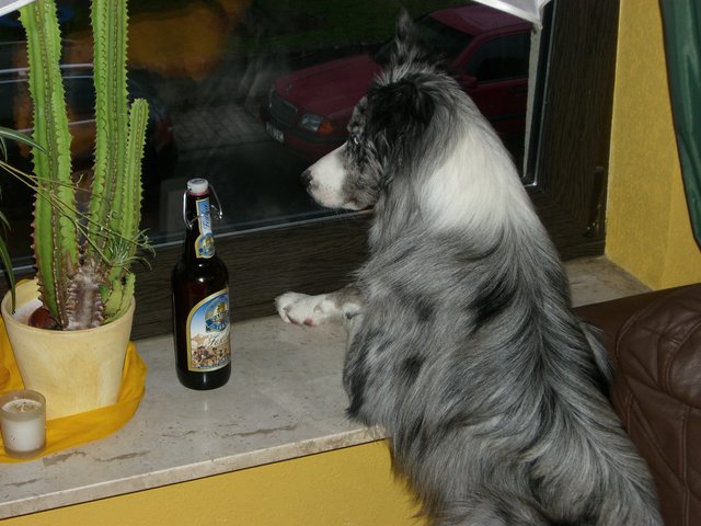 Endlich Feierabend......