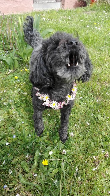 Der Frühling kann kommen!