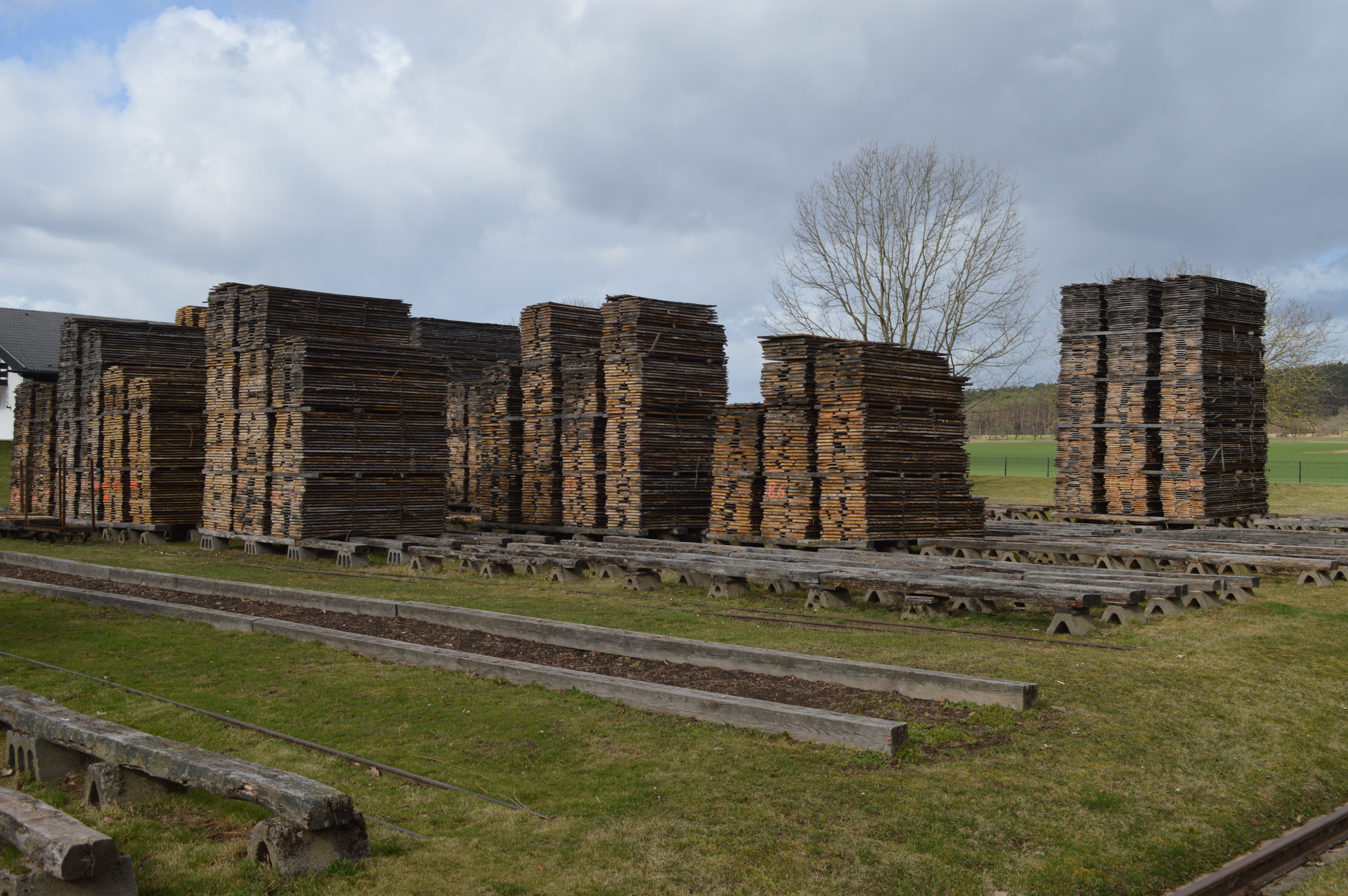 Sägewerk Vaeth in Elsenfeld. Hier wird nur Eichenholz verarbeitet.