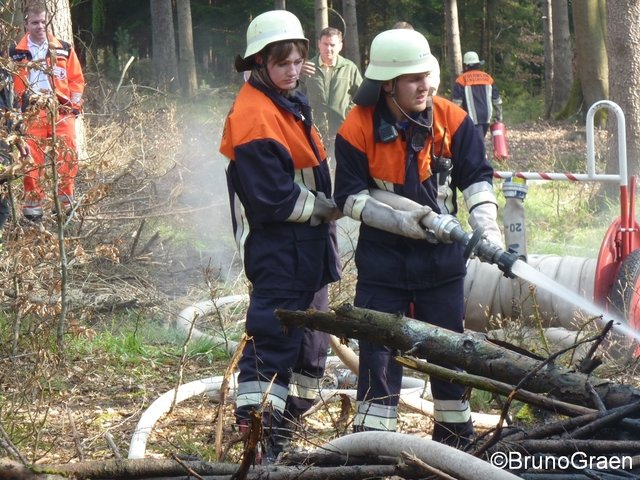Bulldog brennt im Wald bei Wenschdorf