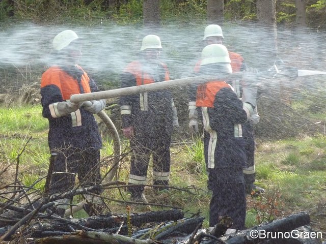 Bulldog brennt im Wald bei Wenschdorf