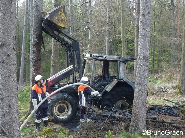 Bulldog brennt im Wald bei Wenschdorf