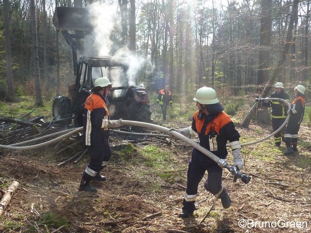 Bulldog brennt im Wald bei Wenschdorf