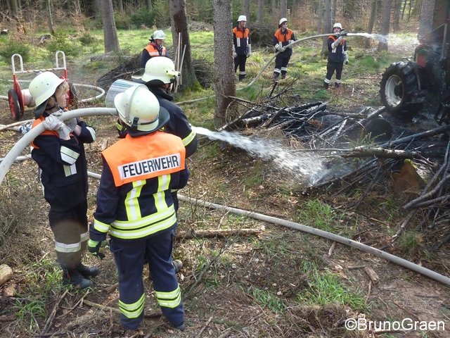Bulldog brennt im Wald bei Wenschdorf