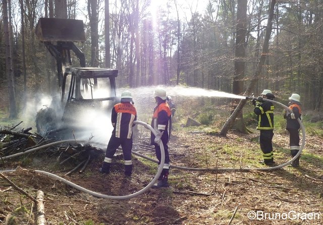 Bulldog brennt im Wald bei Wenschdorf