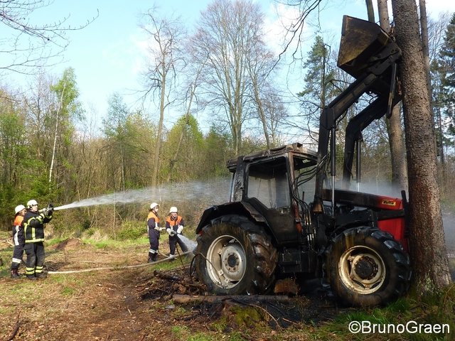 Bulldog brennt im Wald bei Wenschdorf