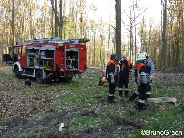 Bulldog brennt im Wald bei Wenschdorf