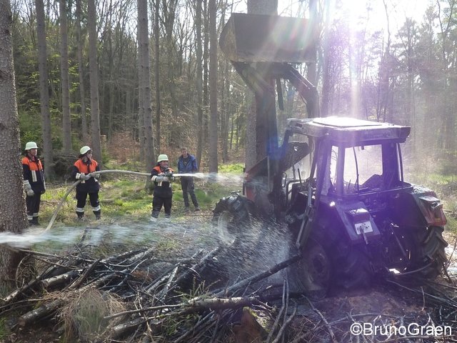 Bulldog brennt im Wald bei Wenschdorf