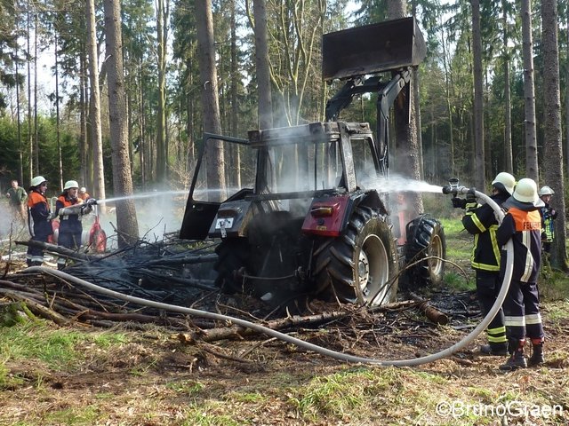 Bulldog brennt im Wald bei Wenschdorf
