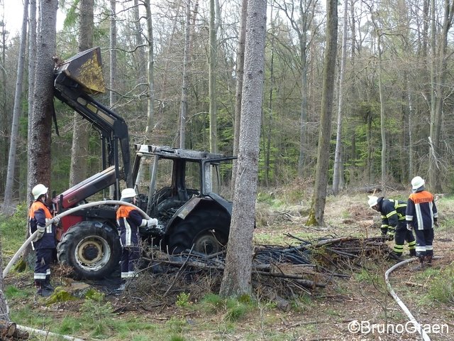 Bulldog brennt im Wald bei Wenschdorf
