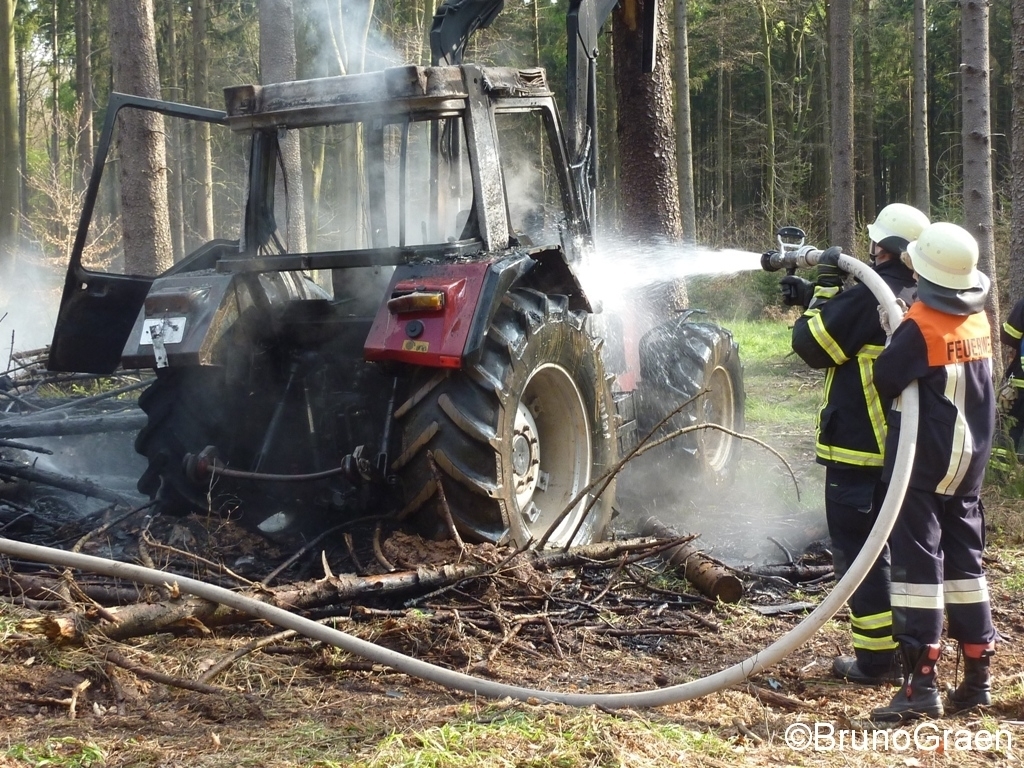 Bulldog brennt im Wald bei Wenschdorf
