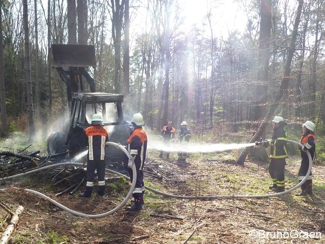 Bulldog brennt im Wald bei Wenschdorf