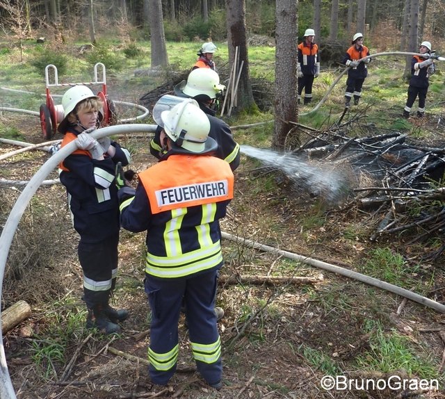 Bulldog brennt im Wald bei Wenschdorf