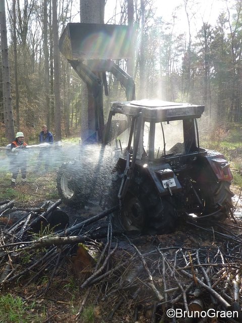 Bulldog brennt im Wald bei Wenschdorf