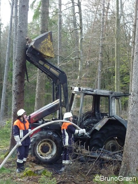Bulldog brennt im Wald bei Wenschdorf