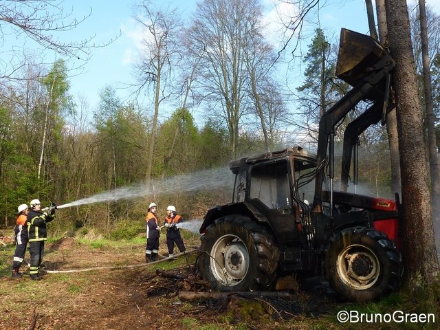 Bulldog brennt im Wald bei Wenschdorf