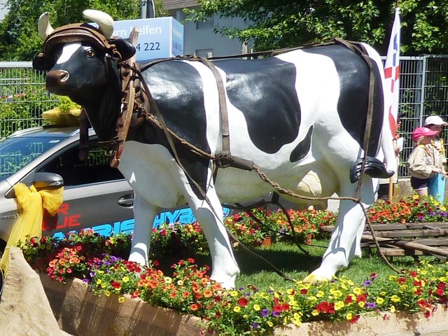 Blumenkorso Michelstadt