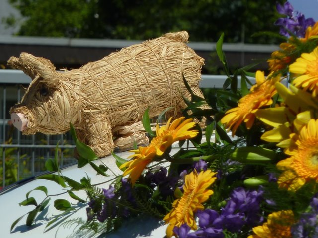 Blumenkorso Michelstadt
