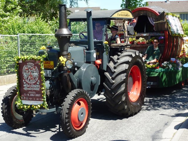 Bulldog beim Blumenkorso in Michelstadt