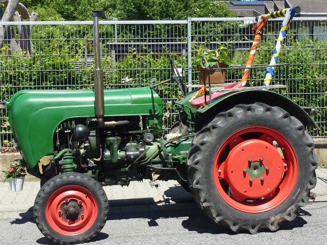 Bulldog beim Blumenkorso in Michelstadt