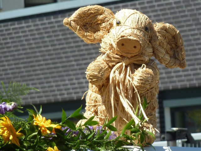 Blumenkorso Michelstadt