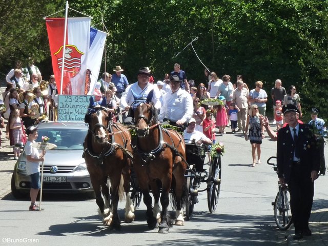Jubiläumsfestzug der Freiwilligen Feuerwehr Weckbach
