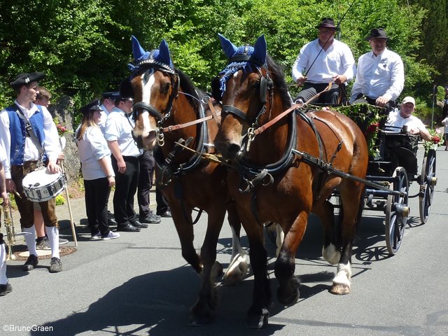 Jubiläumsfestzug der Freiwilligen Feuerwehr Weckbach
