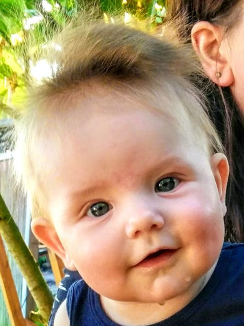 Arthur Maier 12.01.2017