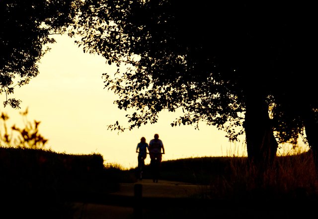 Abendspaziergang im Odenwald.