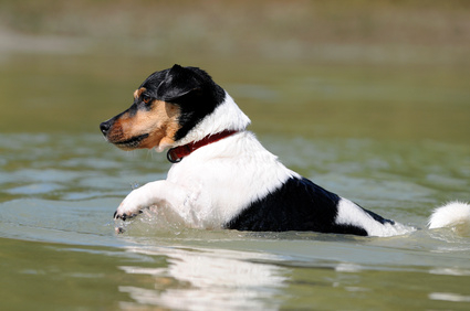 © Carola Schubbel / Fotolia