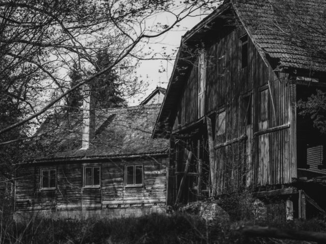 Holzmühle | Foto: Carsten Frenzl